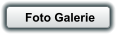 Foto Galerie