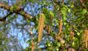 Ist das etwa zu früh?