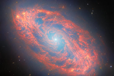 Sterne lugen durch die staubigen, sich windenden Arme von NGC 5134, einer Spiralgalaxie, die 65 Millionen Lichtjahre entfernt liegt, auf diesem Bild vom 20. Februar 2026 vom James Webb Space Telescope der NASA. 